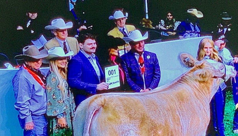 Stock Show Grand Champion Steer Sells for $375,000!