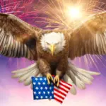 american-eagle-with-bean-bags-1-832-b