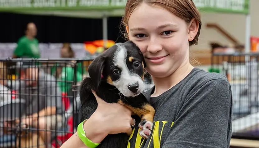 mega-adoption-event-2025-a-832