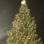 christmas-tree-sundance-2025-832