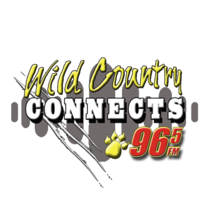 wild-country-connects-logo-3