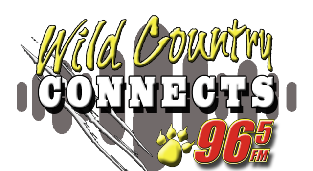 wild-country-connects-logo-3