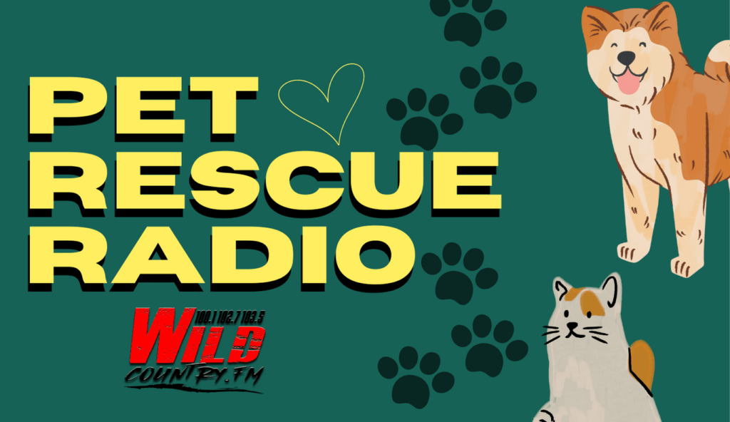 pet-radio-rescue-wild
