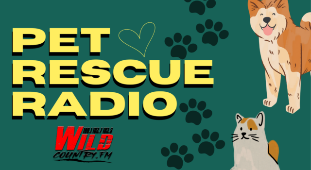 pet-radio-rescue-wild