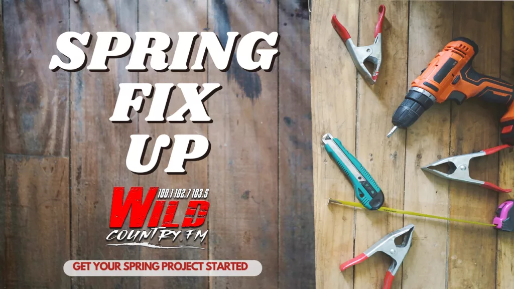 spring-fix-up-wild-2025