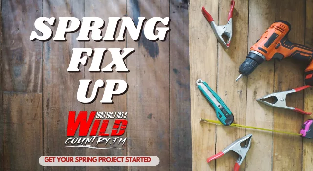 spring-fix-up-wild-2025