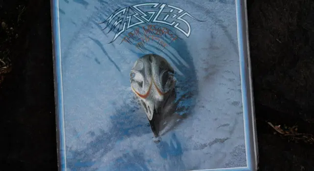 Vinyl cover art of Eagles Their Greatest Hits 1971-1975^ featuring rock music.