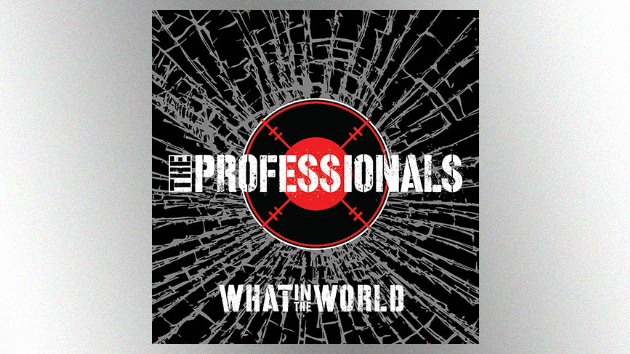 m_theprofessionalswhatintheworld630_092817