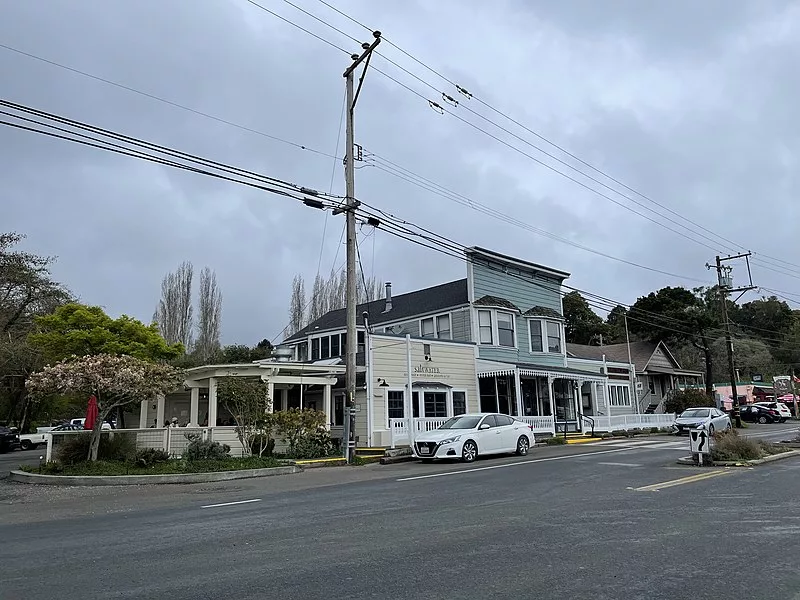 inverness_california_-_march_2022_-_sarah_stierch117410
