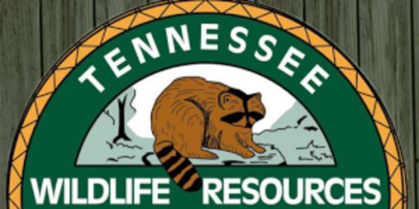 TWRA Hunter Safety Classes Set | WENK-WTPR | KFKQ