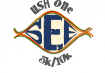 ushonesee-logo