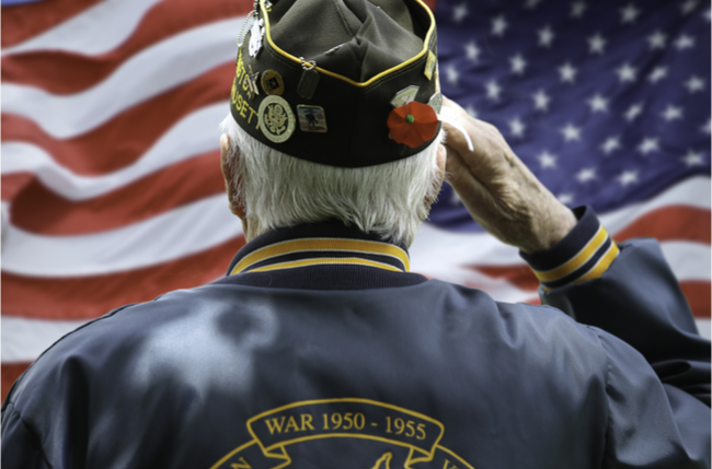 veterans day man salutes flag