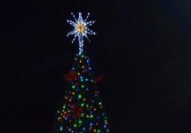 ni-christmas-tree