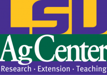 lsuagcenter-png