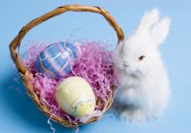 bunny_basket_eggs-2