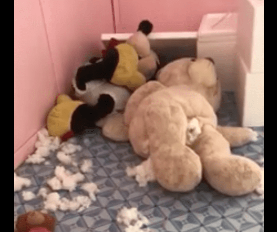 beagle inside teddy bear