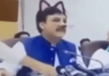 pakistani-press-conference-with-cat-filter-png