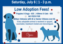 7-6-19-adoption-event-2
