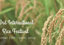 83rd international rice festival