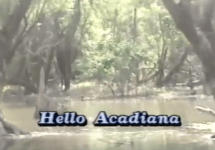 hello acadiana tv 10 klfy