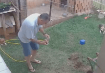 Guy blows up lawn setting fire to cockroach nest