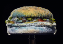 moldy-whopper