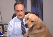 meteorologist-and-his-dog-fox-13-tampa-bay-png-2