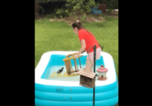 girl-attempts-to-rescue-squirrel-from-pool-png