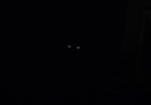 glowing-eyes-in-dark