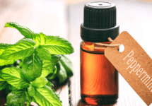 peppermint-oil