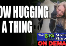 cow-hugging-is-a-thing