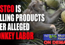 costco-monkey-labor