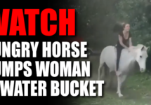 watch-hungry-horse-dumps-woman-png