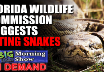 florida-eating-snakes