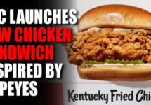 kfc-launches-new-chicken-sandwich-png