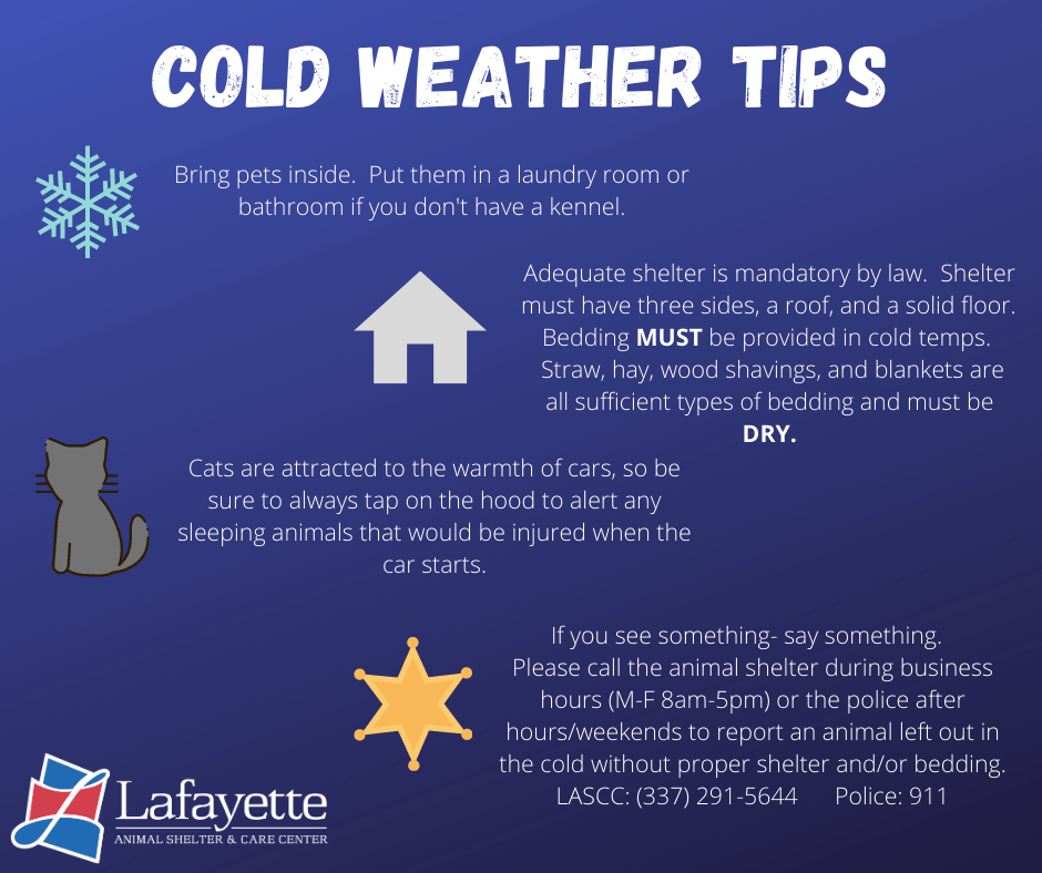 cold-weather-tips31308