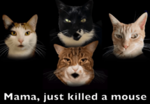 mama-just-killed-a-mouse-png