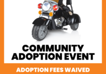 lascc-harley-davidson-adoption-event