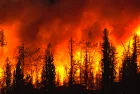 wildfire-forestfire-forestfireinprogress-fire-largeflames