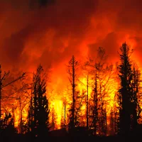 wildfire-forestfire-forestfireinprogress-fire-largeflames
