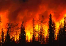 wildfire-forestfire-forestfireinprogress-fire-largeflames