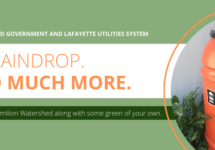 lafayette-consolidated-government-and-lafayette-utilities-system24