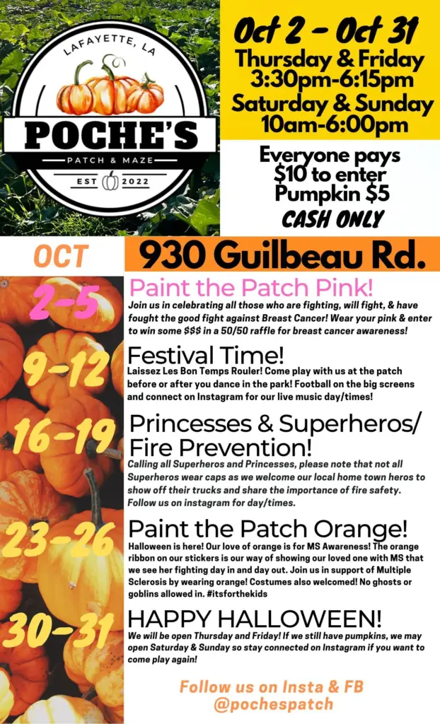 poche-patch25