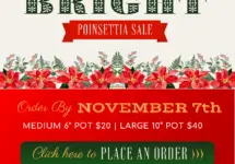 making-memories-bright-e-blast-8