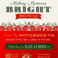 making-memories-bright-e-blast-8-200x200396336-182750230558640784