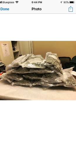 weed-seized-at-caneyville-po-02-23