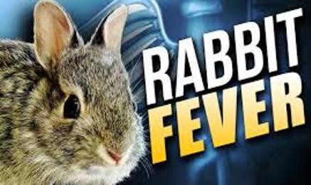 rabbit-fever-logo-04-30