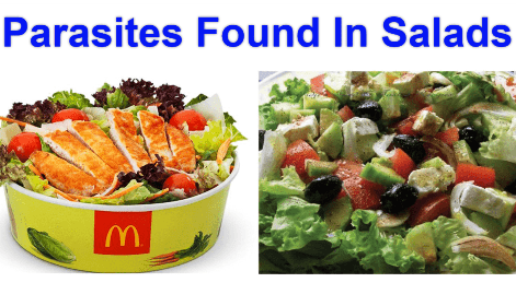 mcdonalds-salad-logo-07-23