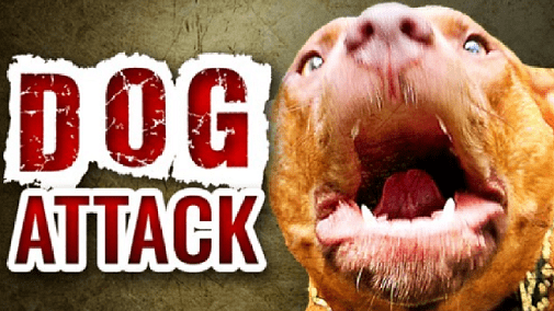 dog-attack-logo-11-05
