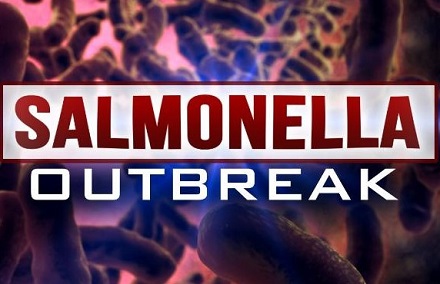 salmonella-outbreak-logo-04-16